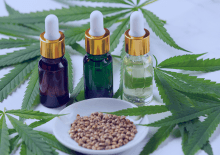 Arizona Active Medical Marijuana Patients in 2025.png